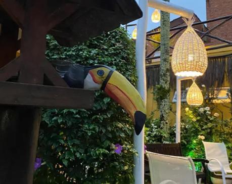 Canto Das Laranjeiras Moa กัวรูจา ภายนอก รูปภาพ